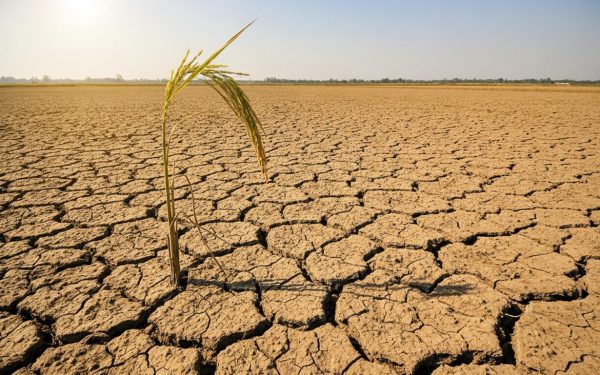 Goldman Sachs Food Supply Shock Warning: 3 Reasons Southeast Asia May Face Costlier Food