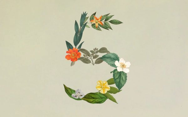 Anthropic release Claude Sonnet 5