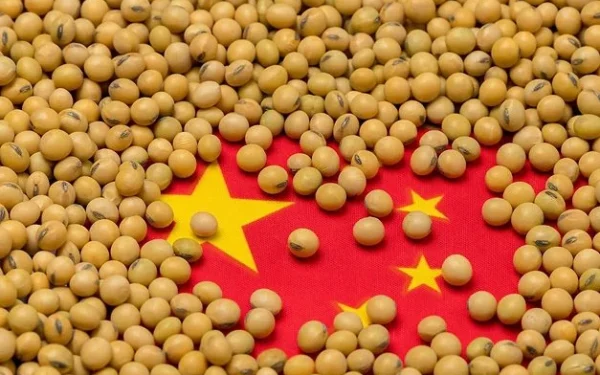 China soybean imports: Why Brazil keeps winning