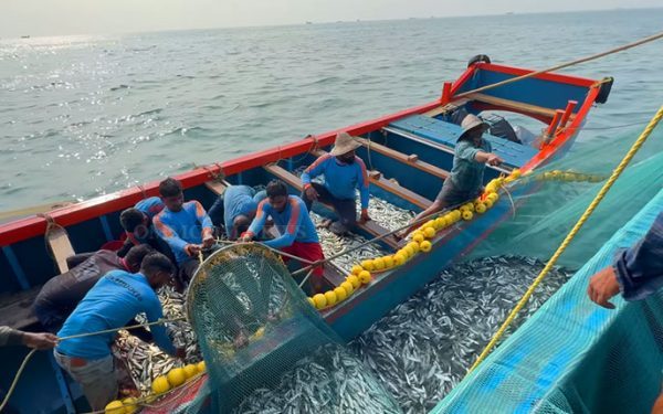 Odisha deep sea fishing mission aims to lift exports