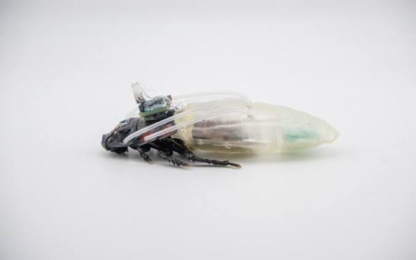 Scientist 3D-printed scuba suit for cockroaches