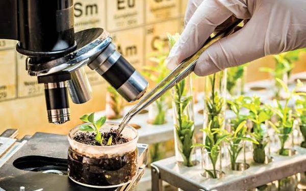 India biotech funding: what could bring more private capital