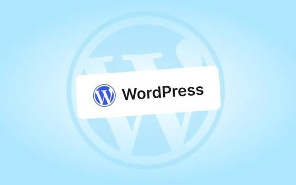 WordPress flaw found by GPT-5.6 raises fresh security questions