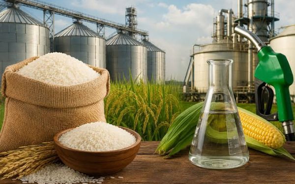 Food Corporation Sold Rice to Ethanol Plants at Lower Price Than It Paid for the Grain