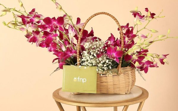 Ferns N Petals Eyes 2028 IPO, Targets 25% Annual Revenue Growth