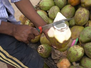 India Coconut Exports Jump 62% to ₹7,038 Crore