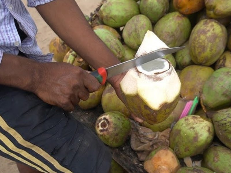 India Coconut Exports Jump 62% to ₹7,038 Crore