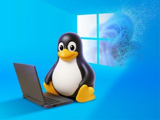 Linux desktop usage hits 22% in Cloudflare data