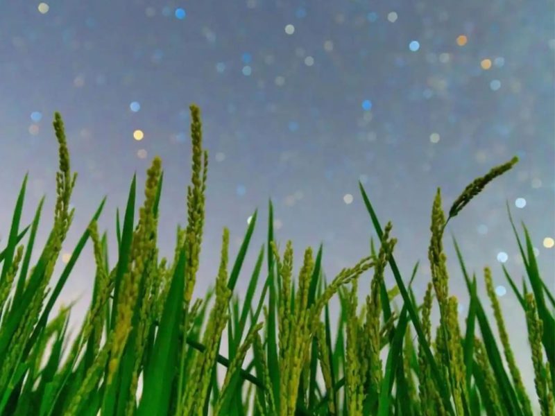 China Develops World’s First Custom Immunity System For Plants