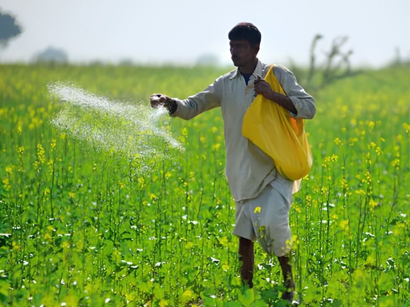 Fertiliser Stocks Rally Up to 14% on Russia Supply Push