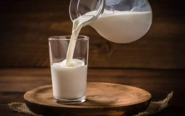 Maharashtra Milk Prices to Rise ₹2 From August 11