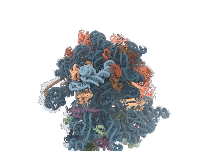 Claude Biomolecular Models Gain 4x Average Speed