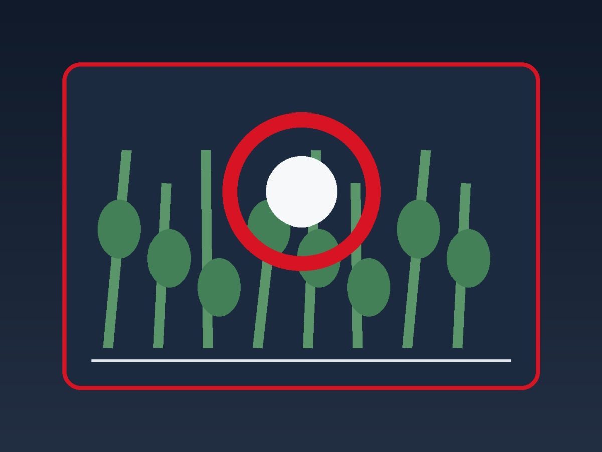 Editorial illustration representing Dhanuka Polin fungicide and the path from announcement to operating result