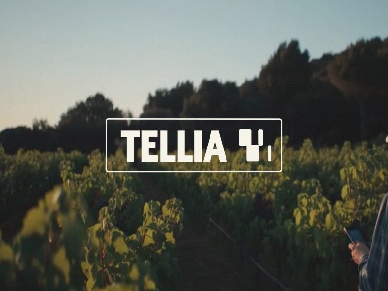 Tellia Raises EUR 4.3M for Voice AgTech