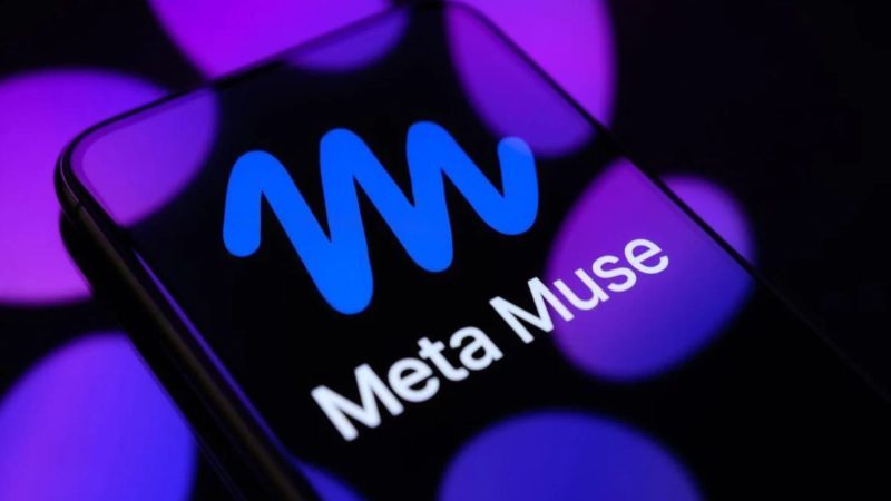 Meta Muse Contact Pages: What WIRED Found