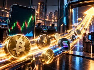 WazirX Trading Volume Jumps 236% Between July and September 2026
